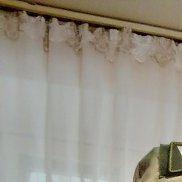 , 44 , 
