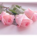 ���� �������, ������ - ��������� 19 ������ 2023 � ������ ������ ��������