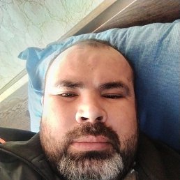 ����., 37 ���, ���������