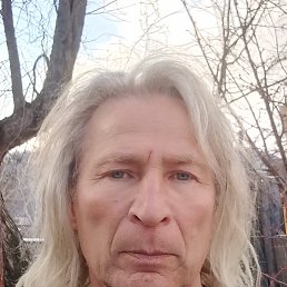 , 53 , 