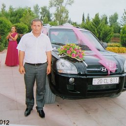 , 52, 