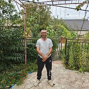 , 46 , 