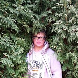 �����, ����, 54 ����