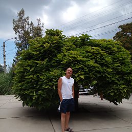 , 54, 