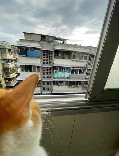  :   )