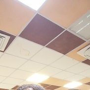 ������, 47 ���, �����������