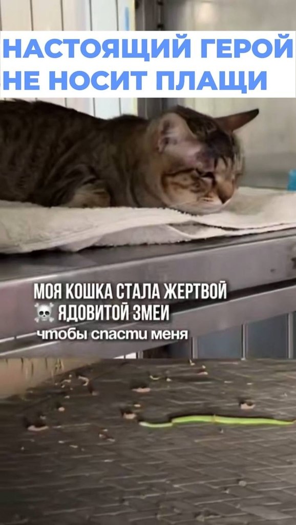 ����� �������� ����� �� ������� ���� �� ���� � ������ �������� ����� ���� �� ����. ����� �� ... - 2