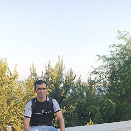 , 41 , 