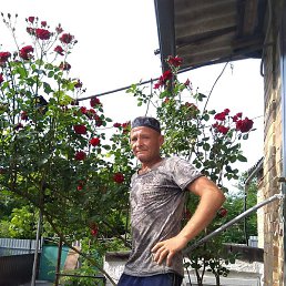 �������, ������-��-����, 46 ���