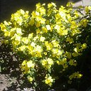 ���� ����, ���� - ��������� 9 �������� 2026 � ������ ���� ����������
