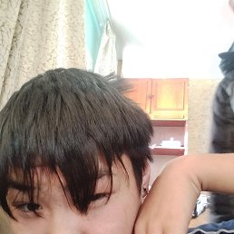 ���� ����, �����������, 36 ��� - ��������� 26 ������ 2023