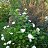 ���� ������, ������, 47 ��� - ��������� 10 ������ 2026