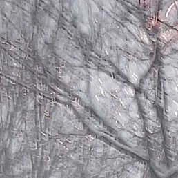 �������, ������, 47 ���