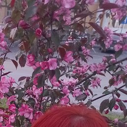 , 51, 