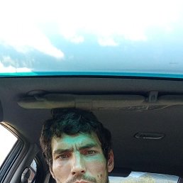 , 33, 