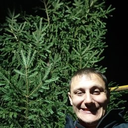 , 34, 