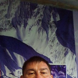 , 50, 