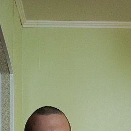 , 26, 