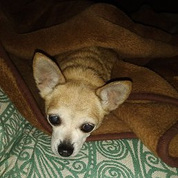 �����, ������, 53 ����