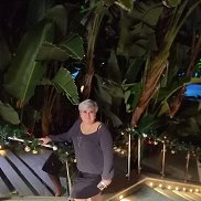 ����, 56 ���, �����������