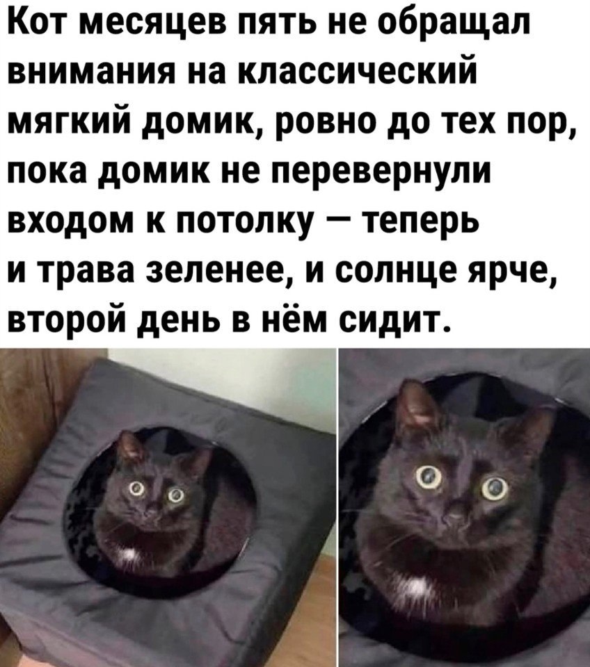 �������� ��������� - 9 ��� 2026 � 12:24