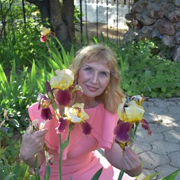 , 64, 