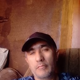 , 41 , 