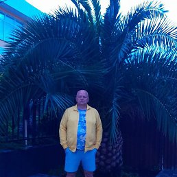 �������, �������, 54 ����