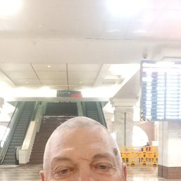 ����, 56 ���, ���������