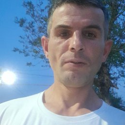 , 39, 