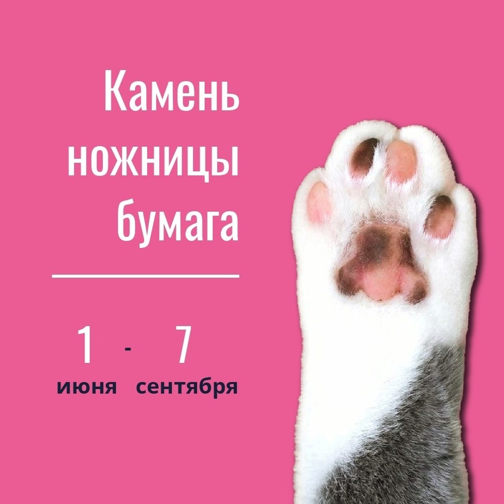     .          ... - 4