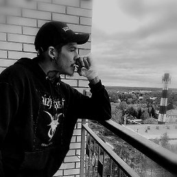 �����, ������, 84 ����