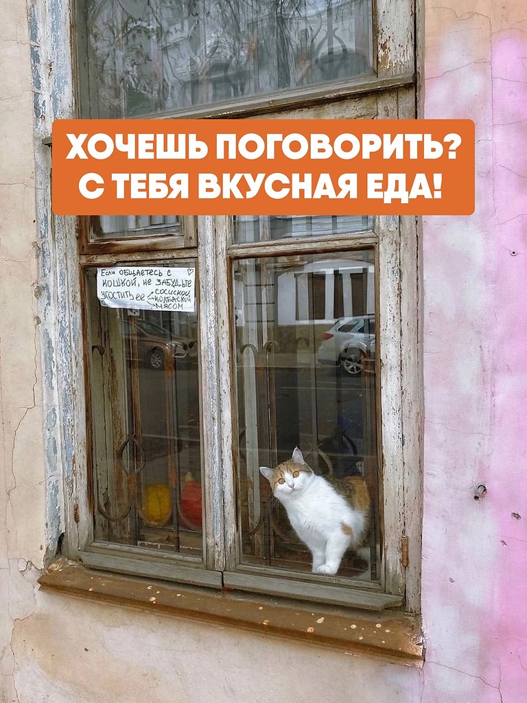     ,        .   ...