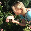 ���� �������, ������, 46 ��� - ��������� 15 ������� 2025 � ������ ���� ����������