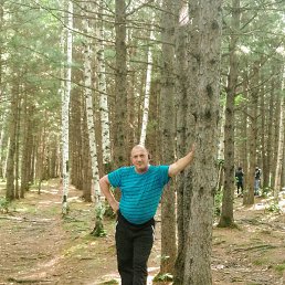 ������� ������, �����������, 58 ���