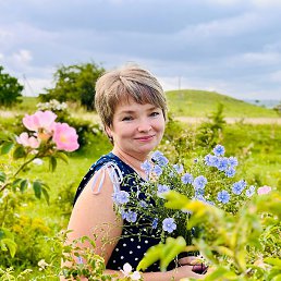 ������, ����, 51 ���