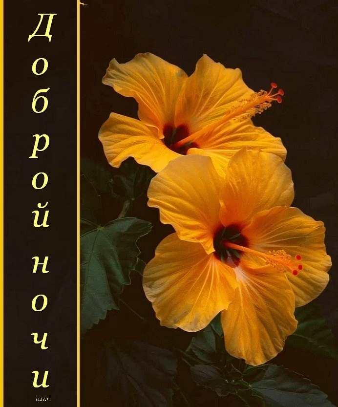 ����� - 1 ���� 2026 � 00:21