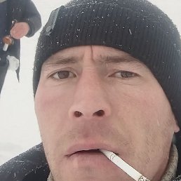 �����, ����-������, 36 ���