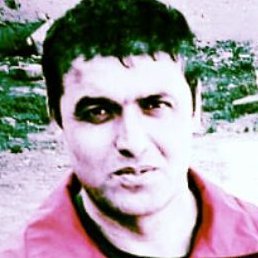 ����, ����, 40 ���