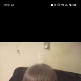 , 37 , 