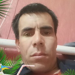 ����, ����������, 40 ���