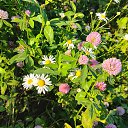 ���� ������, �������, 67 ��� - ��������� 15 �������� 2025 � ������ ������ ��������