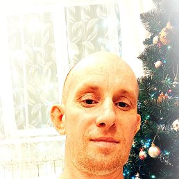 , 40, 