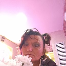 , 52, 
