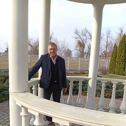 ����, 66 ���, ����������