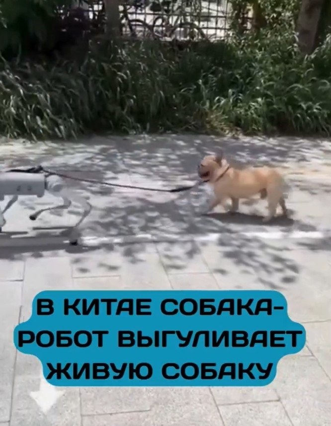 ae poo-c aee oa  ae aco coa. ae ooc eo, e poo-c ... - 2