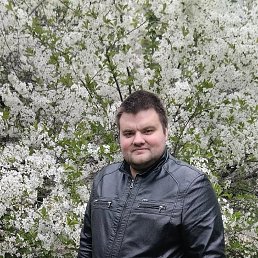 , 33, 