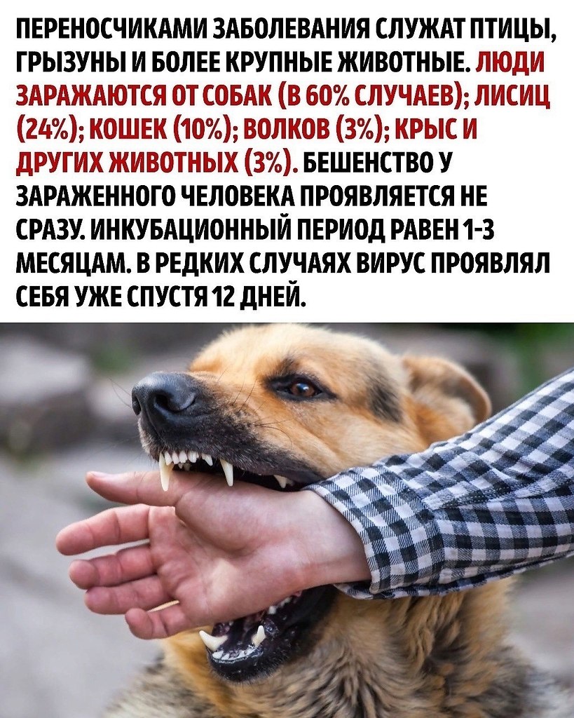   ,       . - 2