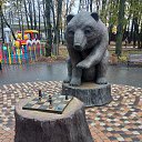  , , 44  -  8  2024    