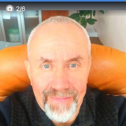 , 61, 